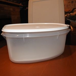 Tupperware ham roast keeper